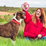 1PC Durable Handwoven Heart-Shaped Dog Chew Toy, Ideal for All Breeds, Teeth Cleaning & Playtime Fun - Image 2