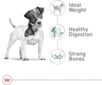 Royal Canin for Small Adult Dry Dog Food Size Health Nutrition 4 lb Bag - Image 4