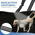 Pet Dog Double Leashes - No Tangle Dog Leash Coupler, Comfortable Shock Absorbing Reflective Bungee Lead for Nighttime Safety - Image 4
