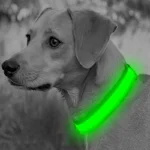 LED Luminous Collar Adjustable Glowing Dog Collar USB Rechargea Flashing Anti-Lost/Avoid Car Accident Collar Dogs Pet Products - Image 2