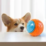 Dog Squeaky Balls Toy Dog Soft TPR Chew Toy Dog Pet Teeth Cleaning Bite Resistance Puppy Training Sound Toy Pet Supplies - Image 4