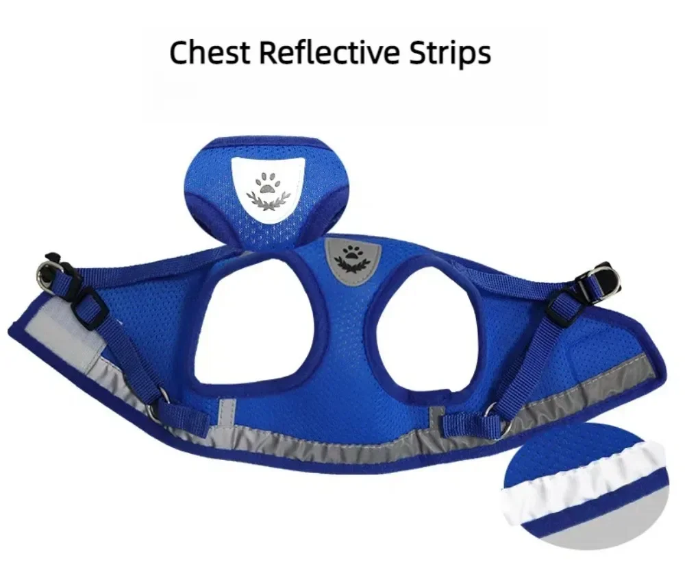 Puppy Harness and Leash