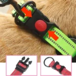 3M Reflective Dog Collar Night Safety Honeycomb Net Breathable Comfortable Explosion-Proof Nylon Dogs Collar For Large Small Pet - Image 4