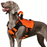 Outdoor Vest for Dogs Splash Protection Pet Adjustable Chest Harness with Handle for Medium and Large Dog Shepherds Labrador - Image 5
