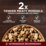 True Instinct Dry Dog Food, Muscle and Joint Support, Grain-Free Real Beef, 12.5 lb Bag - Image 3