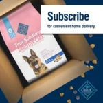 Natural Dry Dog Food for Digestive Care with Chicken, 4-lb Bag - Image 3