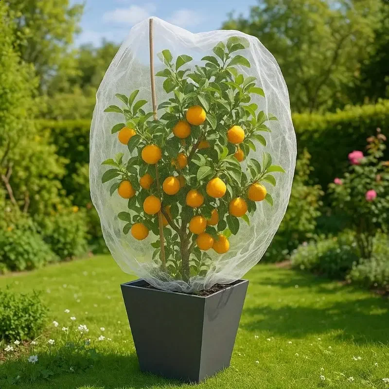 kf-Sda850f244a6a482bb00fab3bb0f93cb8c Nylon Plant Protection Netting Mesh Bag Cover for Fruit Vegetable Tree Strawberry Grapes Pest Control Anti-Bird Gardening Tools - Image 1