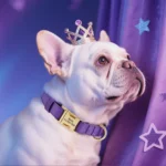 Personalized Dog Collar Waterproof Nylon Dog Collars Soft Padded Pet Necklace Free Engraved for Small Medium Large Dogs Pitbull - Image 5