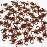 50/10/5PCS Fake Cockroach Centipede Scorpion Kids Trick Props Fake Roaches Plastic Bugs Toy Party Supplies Halloween Decoration - Image 5