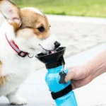 500ml Outdoor Portable Pet Dog Water Bottle Extrusion Large Dog Travel Water Cup Drinking Water Feeder Bowl for Dog Cat - Image 6