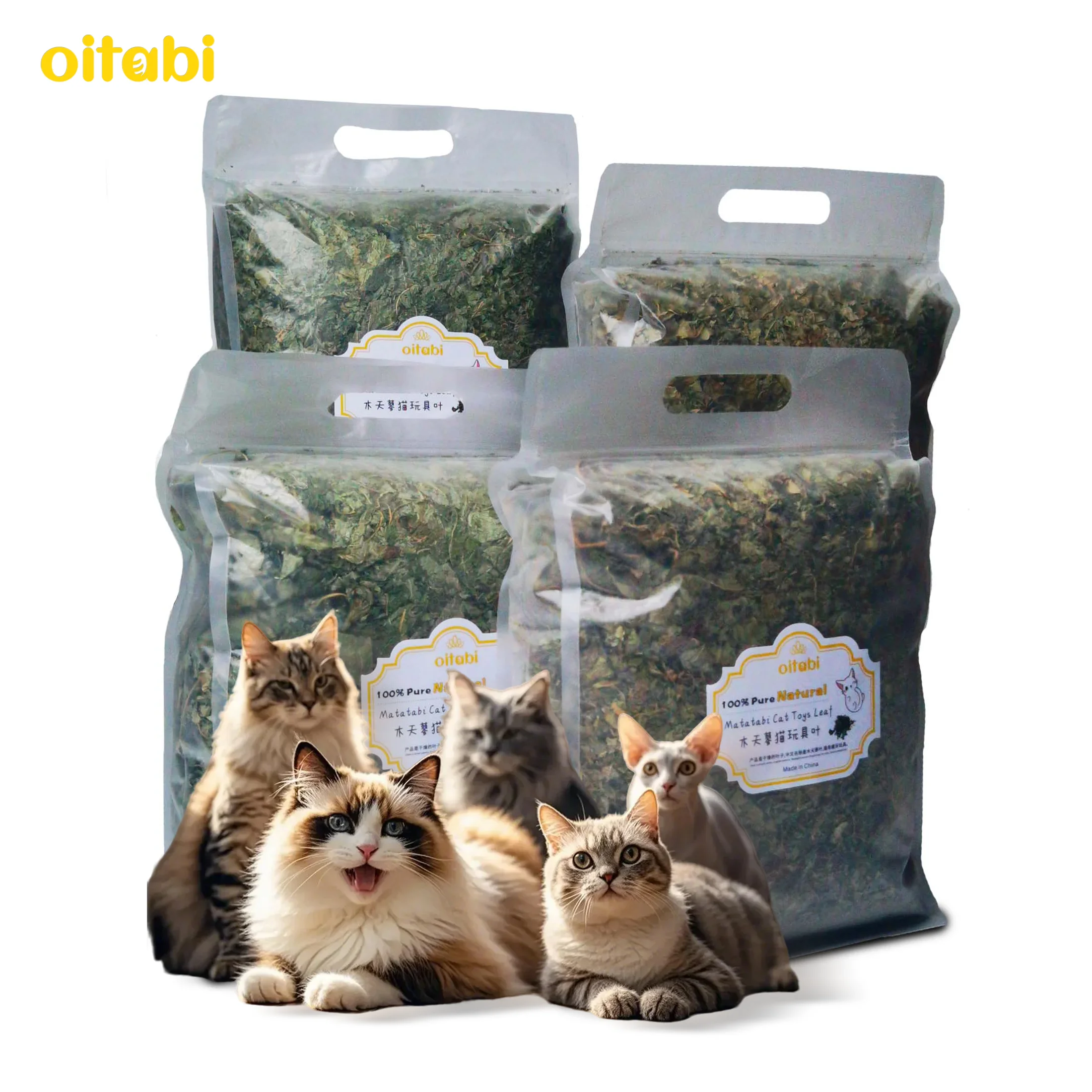 kf-Sdb97fa5ad51449a4aabd814d61c20fd4z Oitabi 1950g Silvervine Leaves, Cat Chew Snacks, Matatabi leaves for Indoor Cats, Kitten Teething Interactive Toys for Cats - Image 1