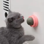 The Catnip Cat Wall Stick-on Ball Toy Scratchers Treats Healthy Natural Removes Balls To Promote Digestion Cat Grass Snack
