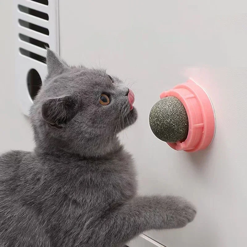 kf-Sdbe7685545a84b9babb04e2d44199f54A The Catnip Cat Wall Stick-on Ball Toy Scratchers Treats Healthy Natural Removes Balls To Promote Digestion Cat Grass Snack - Image 1
