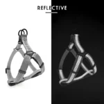 Adjustable Dog Y Harness Breathable Reflective Puppy Harness Leash for Small Medium Large Dog Chihuahua Vest Labrador Pet Suppli - Image 2