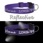 Personalized Dog Collar Custom Pet Customized ID Collar Name and Phone Number Nylon Necklace Small Medium Large Accessories - Image 7