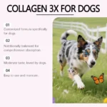 Dog Collagen Drops Gentle Formula Hair and Skin Care Supplement to Accompany Main Food - Image 4