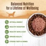 95% lamb natural wet grain free dog food in 13.2 oz cans pack of twelve - Image 7