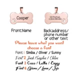 Custom Pet ID Tag Free Engraved Keychain for Dog Cat Name Tag Pendant Personalized Bone Paw Pet Accessories - Image 2