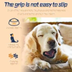 Pet Nutrition Supplement Gastrointestinal Care Stomach Conditioning Improve Digestion Health Enhance Appetite Dog Health Drop - Image 6
