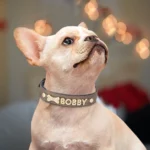 Personalized Soft Dog Collar PU Leather Puppy Cat ID Collars Free Rhinestone Charm Dog Accessory For Small Medium Dogs Chihuahua - Image 3