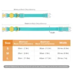 Transparent Buckle Collar Candy Color Pet Cat Dog Collars Leashes For Small Medium Dogs - Image 6