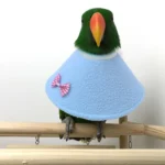 2Pcs Parrot Bird Recovery Collar Adjustable Neck Size Anti Bite Wound Recovery Collar for Small Birds Treatment Healing - Image 6
