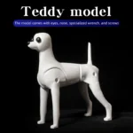 Teddy Pet simulation hair beauty fake beautician practicing dog standard Teddy full body fake head, skeleton model,pet groomer - Image 6