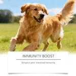 Dog Probiotic Soft Granules Turkey Tail Mushroom Vitamin Supplement Gentle Nourishment Support Gut Health Daily Pet Health Care - Image 8
