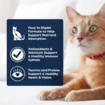 PLUS High Protein Dry Cat Food, 15.5 lb. Bag - Image 4