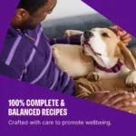 Complete Health Grain Free Natural Dry Dog Food Chicken Recipe 12 Pound Bag - Image 3