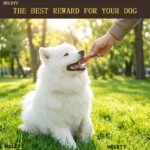 HELETY Duck Meat Jerky - Pet Teething Snack - Pet Training Reward Snack - Dog Snack - Teeth Cleaning Snack - Chewing Snack - Pet Snack - Suitable for Dogs Of All Breeds - Image 5