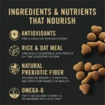 Cat Food Sensitive Skin and Stomach Lamb and Rice Dry Formula - Image 3