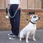 150/200/300CM Strong Leashes for Dogs Soft Handle Dog Leash Reinforced Leash for Small Medium Large Dogs Big Dog Supplies - Image 2