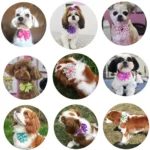 50pcs Dog Bowtie Dot Solid Bow Tie Collar For Small Dogs For Dog DIY Bowties Necktie Pet Grooming Accessories For Small Dogs - Image 2