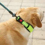 Reflective Dog Collar Pet Collar Pet Traction Rope Suitable Soft Neoprene Padded Breathable Nylon Pet Collar Adjustable - Image 4
