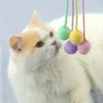 4Pcs/set Colorful Cotton Rope Ball Cat Toys Interactive Pet Toy for Cats Kittens - Image 4