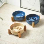 Japanese-style kiln ceramic pet cat bowl medium-sized dog puppy slow food anti-choking slow food bowl anti-overturning - Image 3