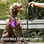 Strong Dog Leash Pet Leashes Reflective Leash For Big Small Medium Dog Leash Drag Pull Tow Golden Retriever - Image 5
