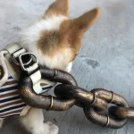 Funny Dog Leash Simulation Life-Like Iron Chain For Large Medium Small Pet Dog Accessories Dog Collar Dog leash Things For Dogs - Image 4