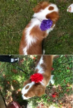 20/50PCS Big Flower Collar For Dogs Removable Dog Bowties Dogs Pets Bow Tie Collar Accessories Pet Grooming Accessories For Dog - Image 5