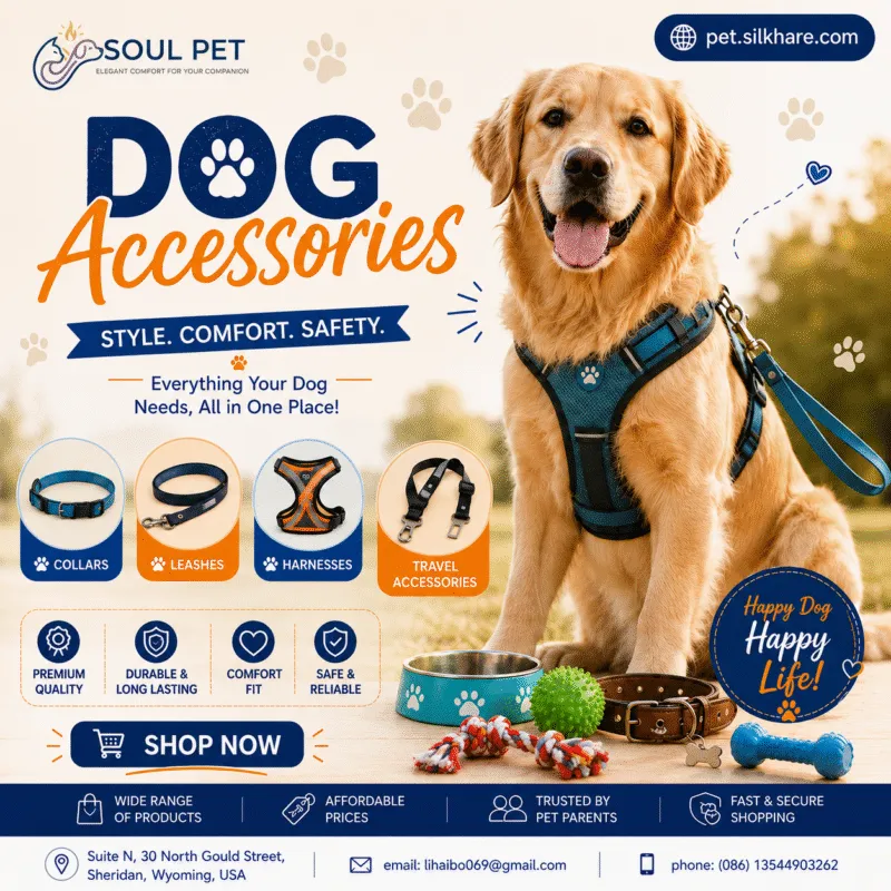 cost of dental cleaning for dogs,