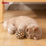 Cat Toy Ball Matatabi Catnip Cat Toy Ball for Cats Catnip Toys Indoor Cats Kitten Cleaning Teeth Molar Silvervine Cat Chew Toy - Image 5