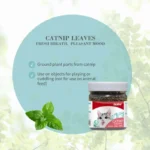 Catnip for Cats Natural Dried Cat Mint Leaves 20g Organic Catnip Treat Relieves Stress Encourages Play Kitten Toys - Image 3