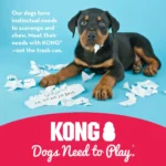 KONG - Extreme Dog Toy - Toughest Natural Rubber, Black - Fun to Chew, Chase and Fetch - Image 5