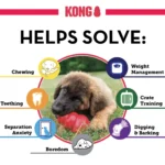 KONG - Extreme Dog Toy - Toughest Natural Rubber, Black - Fun to Chew, Chase and Fetch - Image 6
