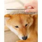Safe and Precise Professional Pet Grooming Scissors with Round Head - Stainless Steel Dog Hair Shears for Effortless Trimming - Image 5