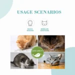 Catnip for Cats Natural Dried Cat Mint Leaves 20g Organic Catnip Treat Relieves Stress Encourages Play Kitten Toys - Image 2