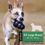 KONG - Extreme Dog Toy - Toughest Natural Rubber, Black - Fun to Chew, Chase and Fetch - Image 2