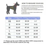Dog Harness NO PULL Reflective Breathable Adjustable Pet Harness Vest with ID Custom Patch Outdoor Walking Dog Supplies - Image 6