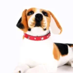 S/M/L Star Studded Pet Dog Collar Leather Puppy Collars for Small Medium Dogs Cat Neck Strap Pet Supplies Chihuahua Collars - Image 6